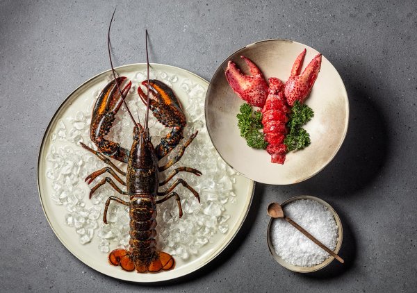 Eiswürfelteller, Eiswürfelteller mit grüner Dekoration und dekorative Schüssel mit Salz