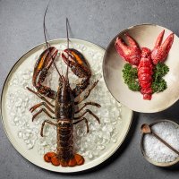 Plato de langosta sobre hielo, plato de langosta con decoración verde y cuenco decorativo con sal